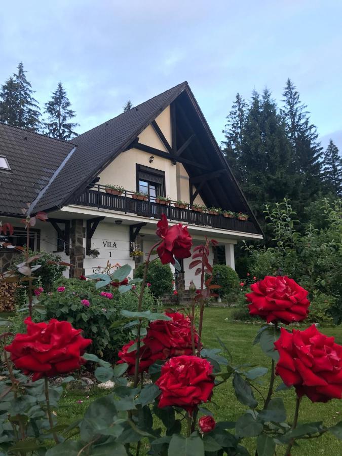 Complex Vile- Milana M Residence Poiana Brasov Exterior foto