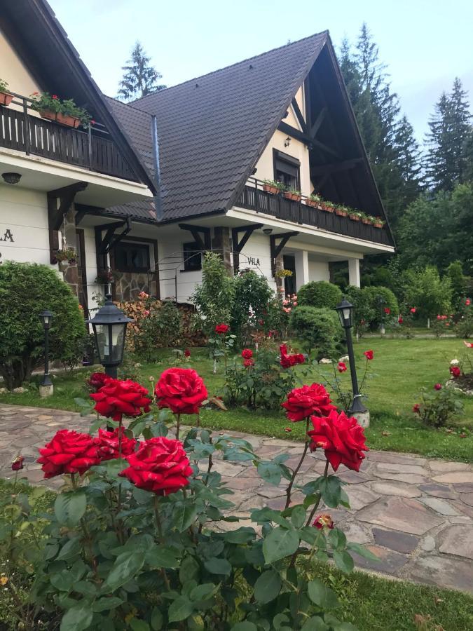 Complex Vile- Milana M Residence Poiana Brasov Exterior foto